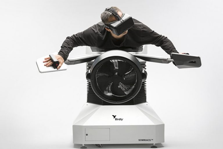 SIMULADOR birdly